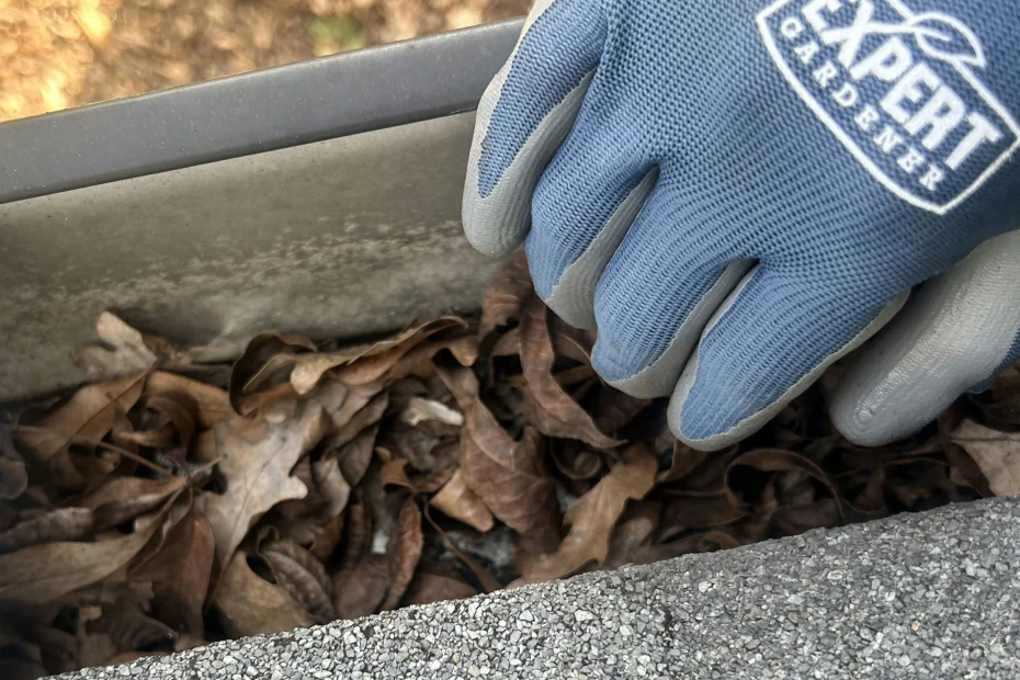 Gutter Cleaning Capleville