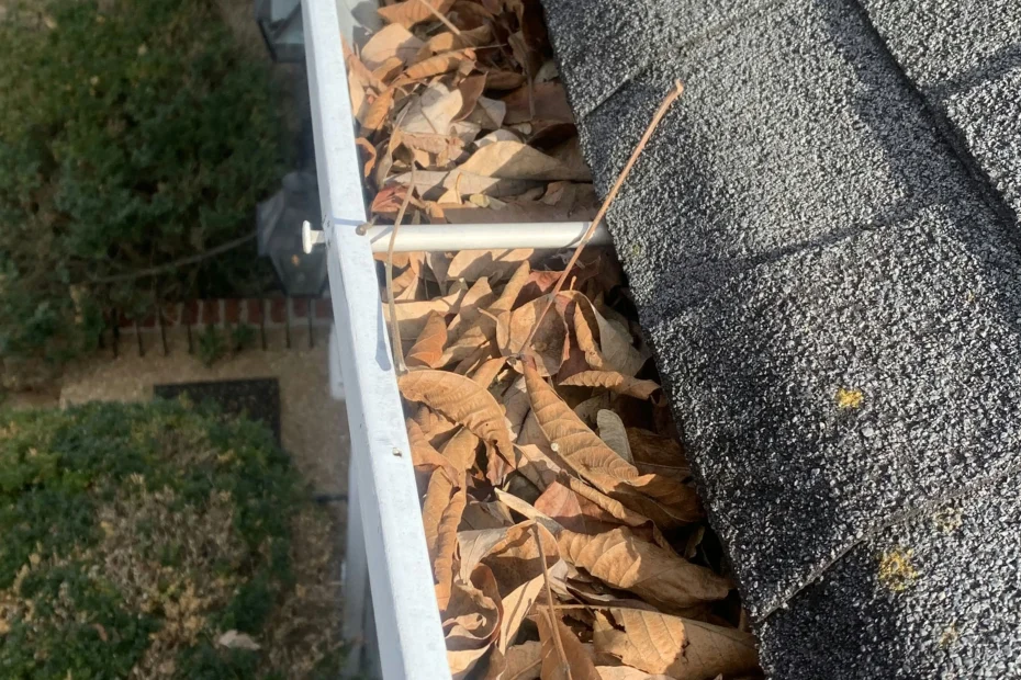 Gutter Cleaning Capleville