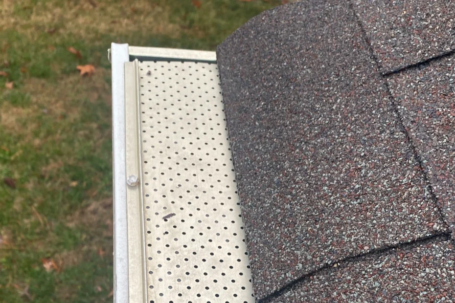 Gutter Cleaning Capleville