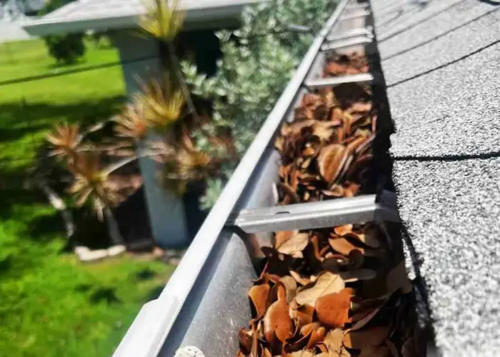 Gutter Cleaning Capleville home page